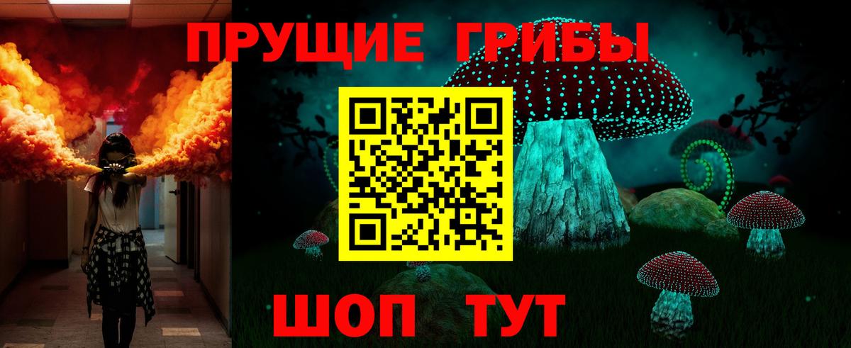 Пыть-Ях  Псилоцибиновые грибы MAGIC MUSHROOMS  где купить наркотик  Вход с VPN  Псилоцибиновые грибы Psilocybe 